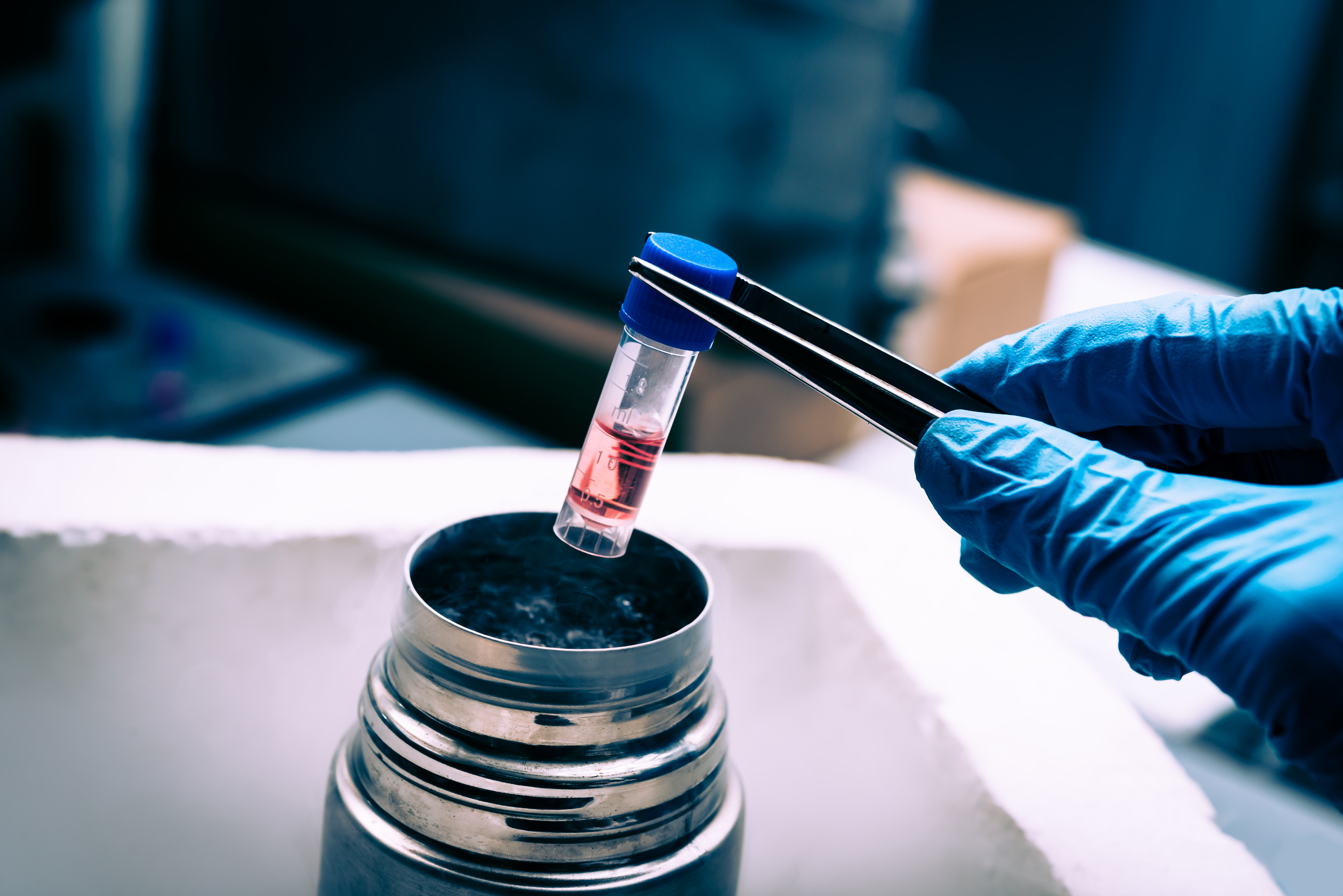 Where do stem cells come from
